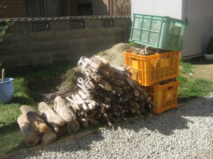 流木から乾燥した薪を作る方法と自作の薪置き場